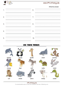 Word bank worksheet